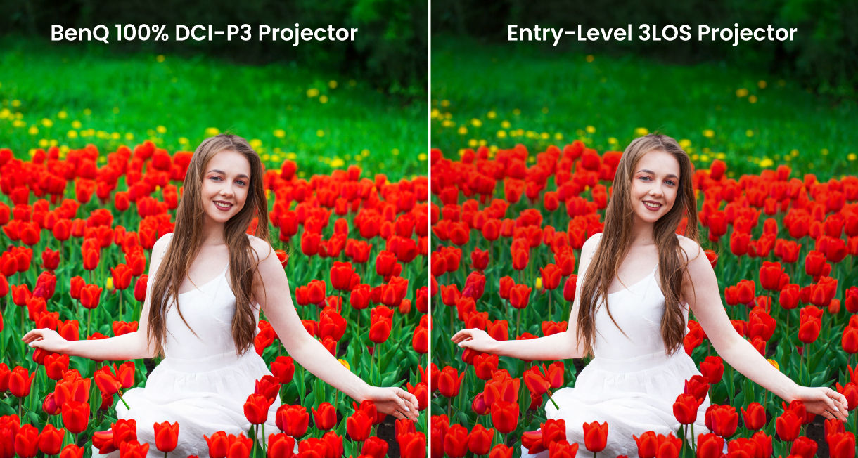 <100% DCI-P3 Projector Washed-out Colors/ Lost Details/ Unnatural Tones